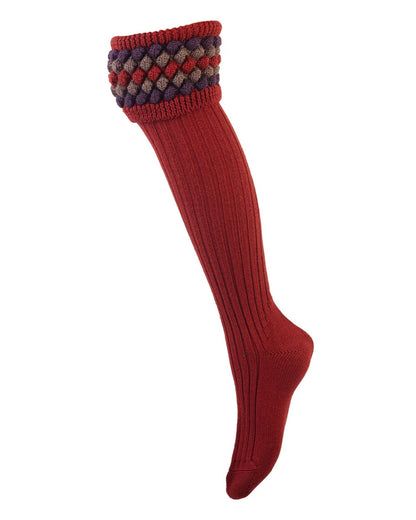 Chestnut coloured House of Cheviot Lady Angus Shooting Socks on white background #colour_chestnut