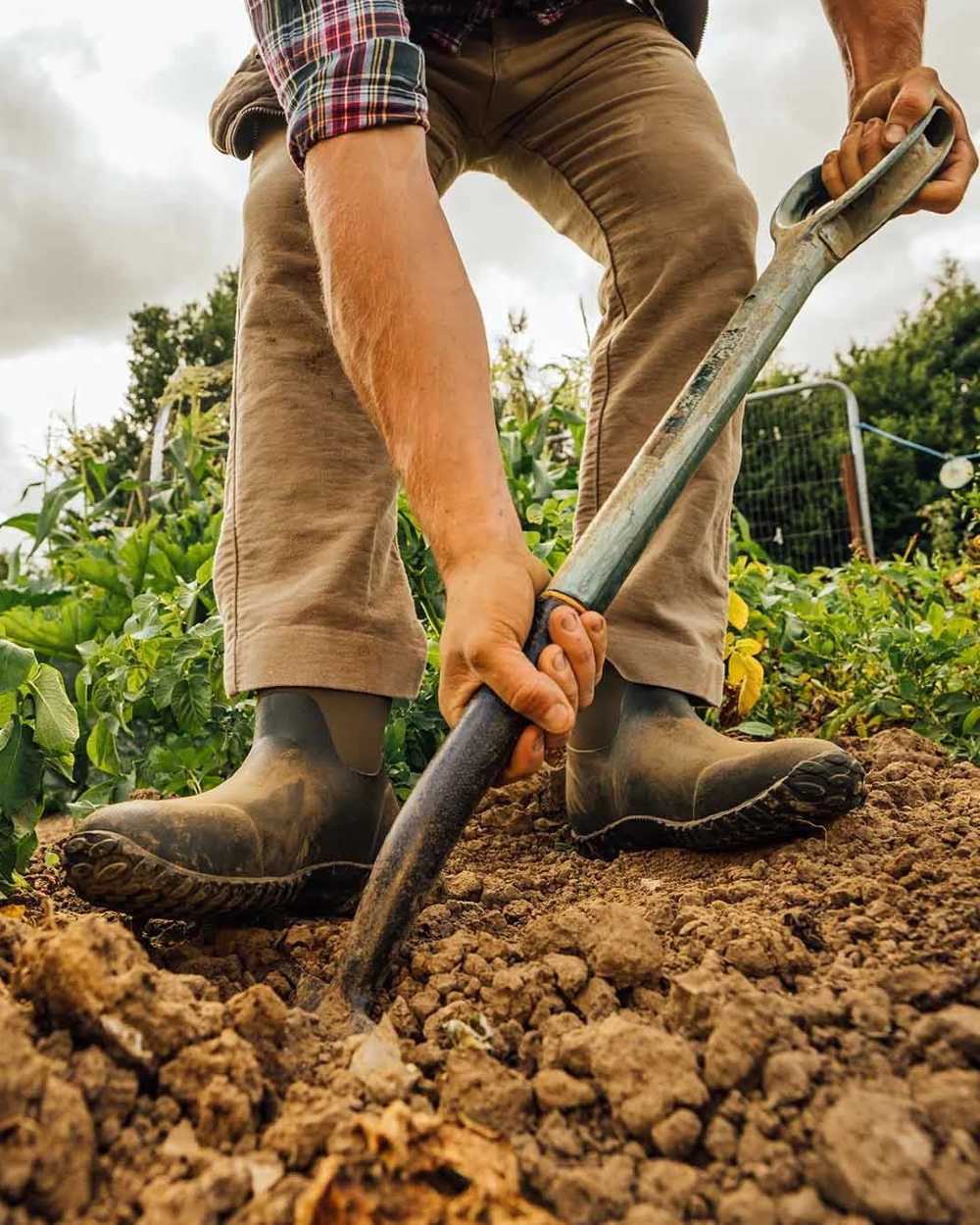 Moss Coloured Muck Boots Mens RHS Muckster II Ankle Boots On A Field Background #colour_moss
