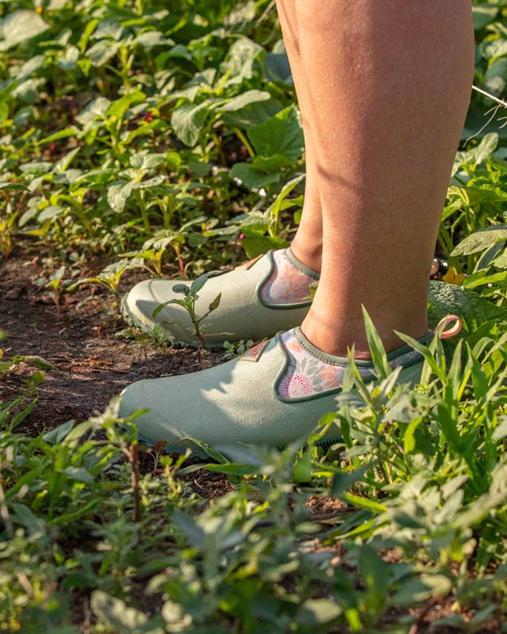 Sunflower Print coloured Muck Boots Womens RHS Muckster II Low Shoes on Garden background #colour_sunflower-print
