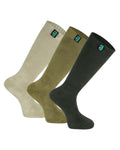 Olive Multi
