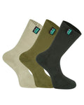 Olive Multi