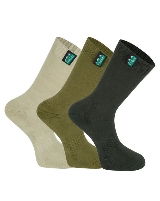Olive Multi Coloured Ridgeline Cotton Work Socks Mid Length On A White Background #colour_olive-multi