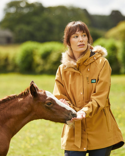 Ochre Coloured Ridgeline Womens Monsoon Nordic Jacket On A Field Background #colour_ochre